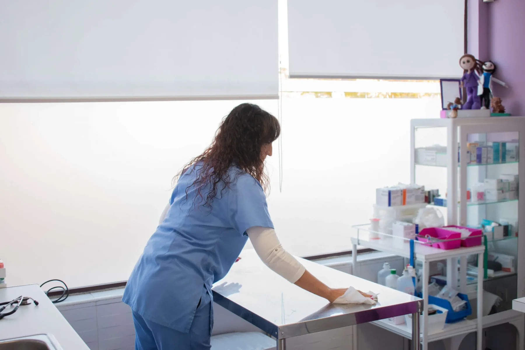 Vet clinic's infection protocol