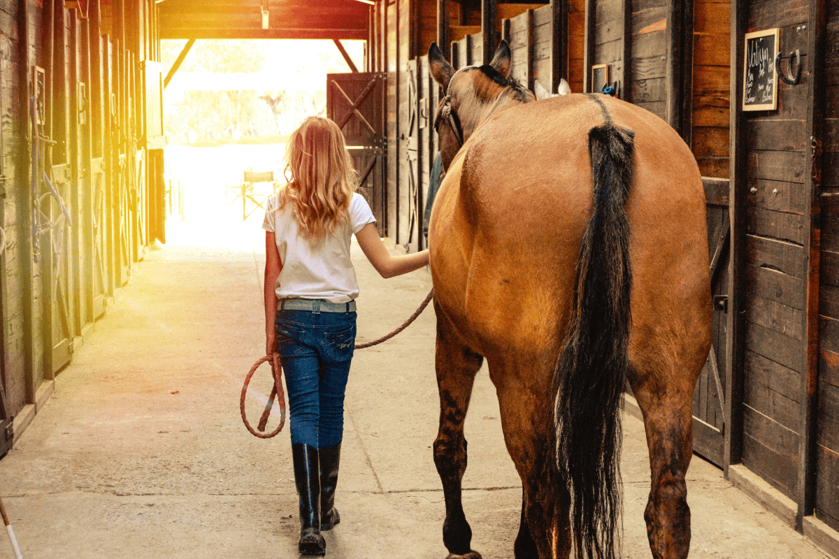 Horse stables with effective infection control