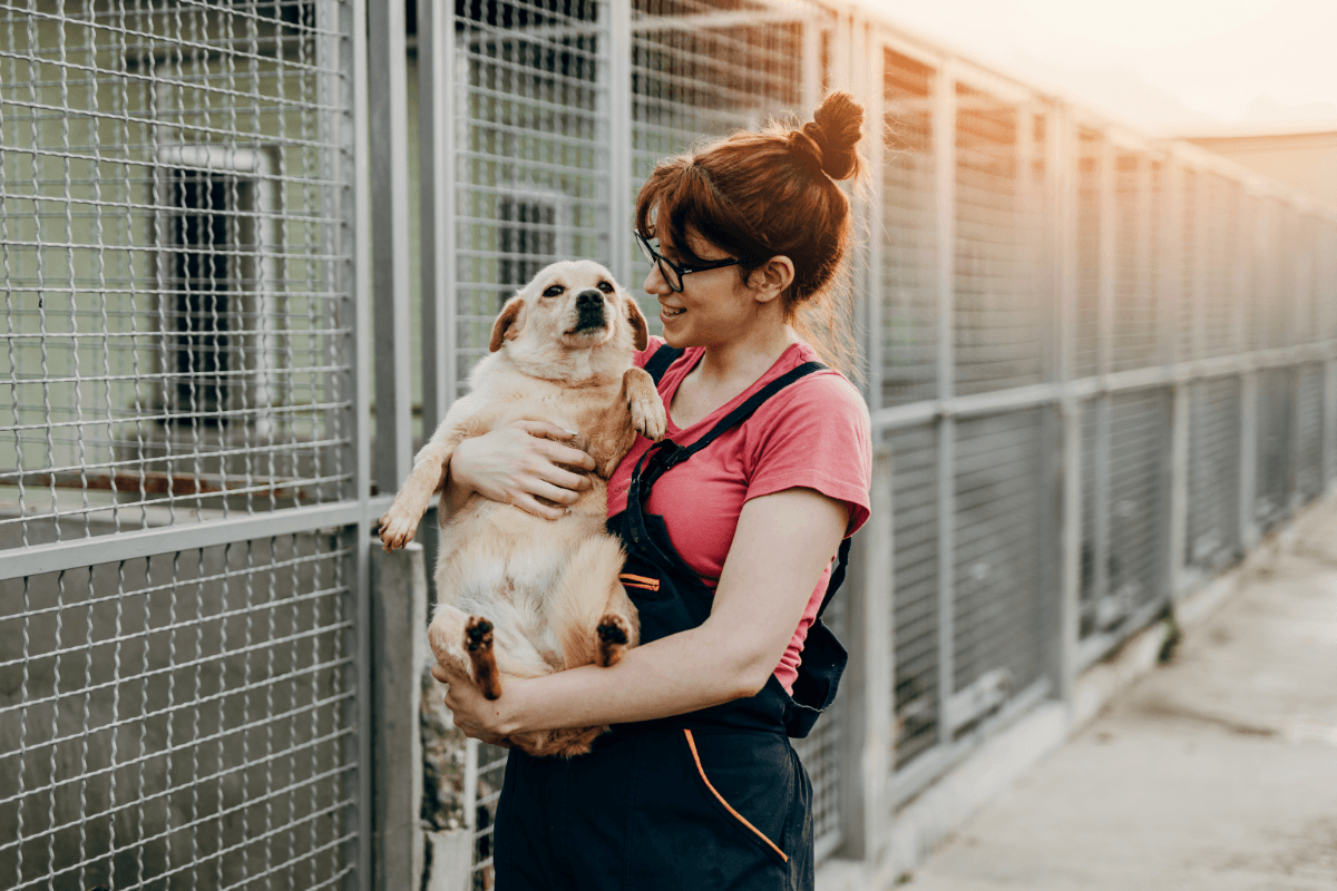 Woman at pet boarding facility which has strong a disinfection routine to prevent an outbreak